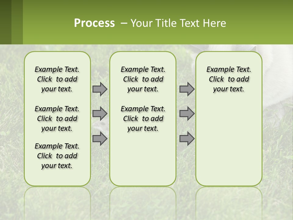 A Cat And A Mouse In The Grass PowerPoint Template