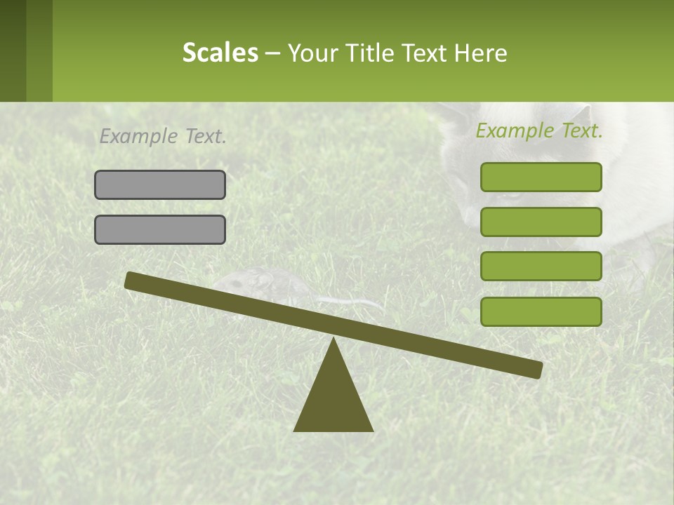 A Cat And A Mouse In The Grass PowerPoint Template