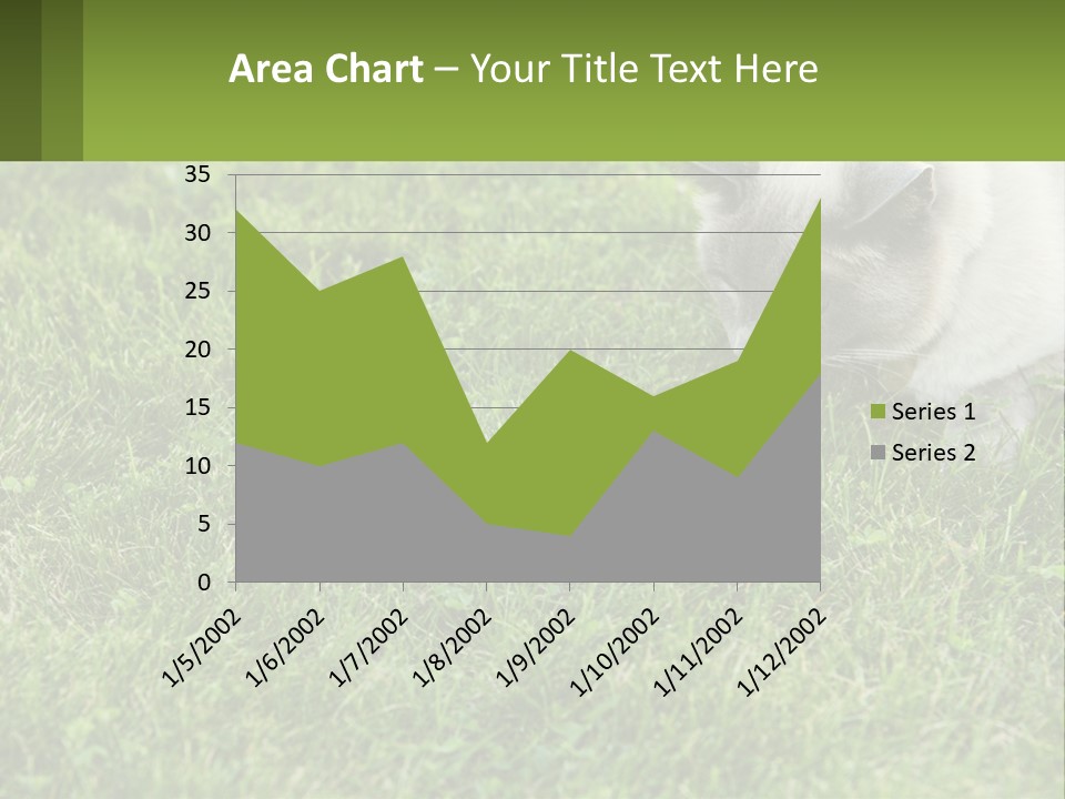 A Cat And A Mouse In The Grass PowerPoint Template