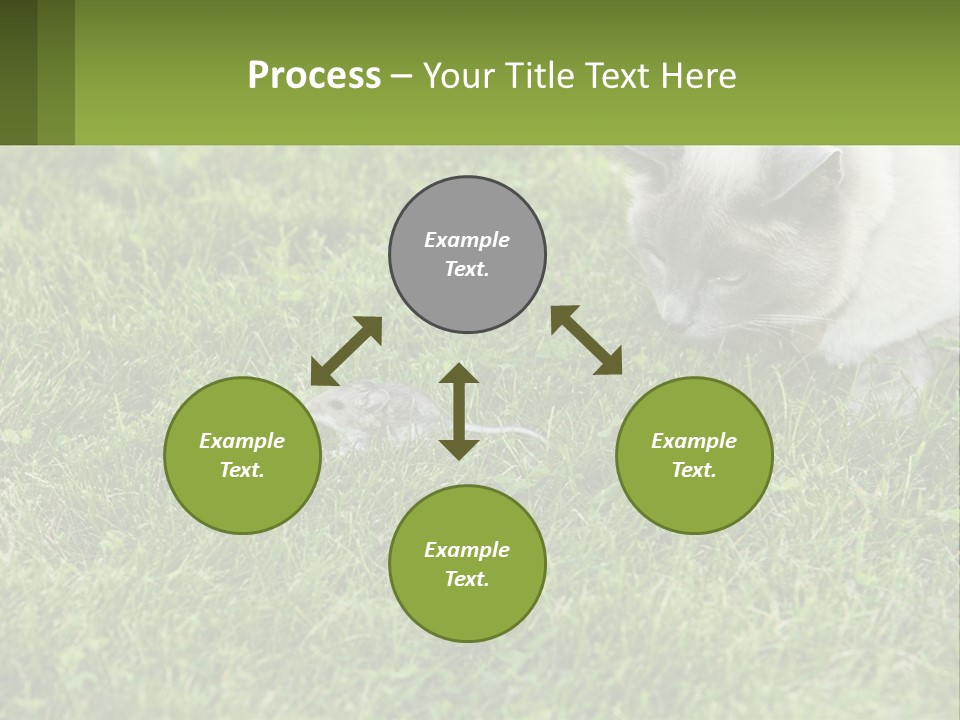 A Cat And A Mouse In The Grass PowerPoint Template