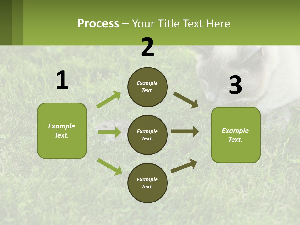 A Cat And A Mouse In The Grass PowerPoint Template