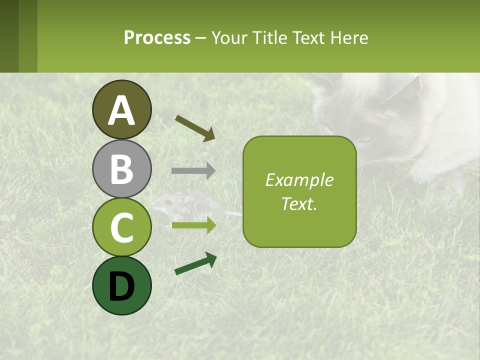 A Cat And A Mouse In The Grass PowerPoint Template
