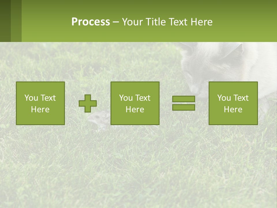 A Cat And A Mouse In The Grass PowerPoint Template