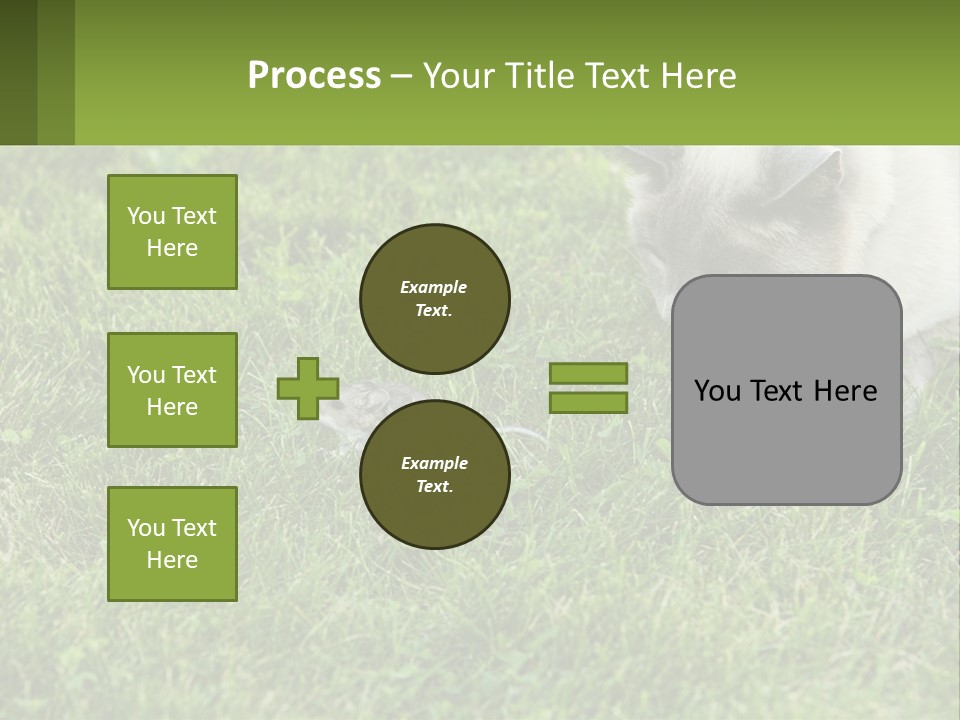 A Cat And A Mouse In The Grass PowerPoint Template