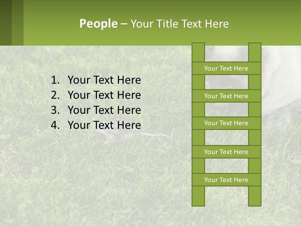 A Cat And A Mouse In The Grass PowerPoint Template