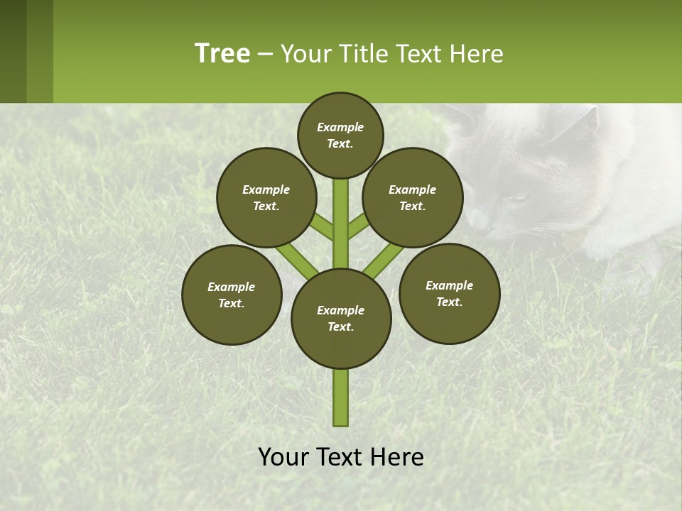 A Cat And A Mouse In The Grass PowerPoint Template