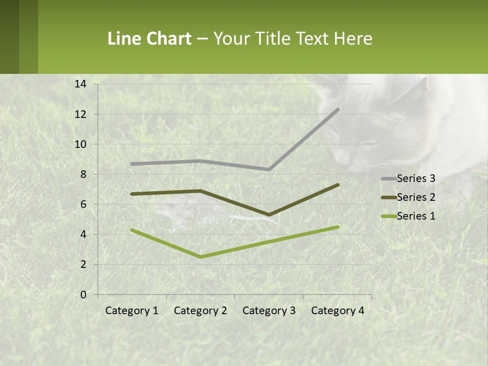 A Cat And A Mouse In The Grass PowerPoint Template