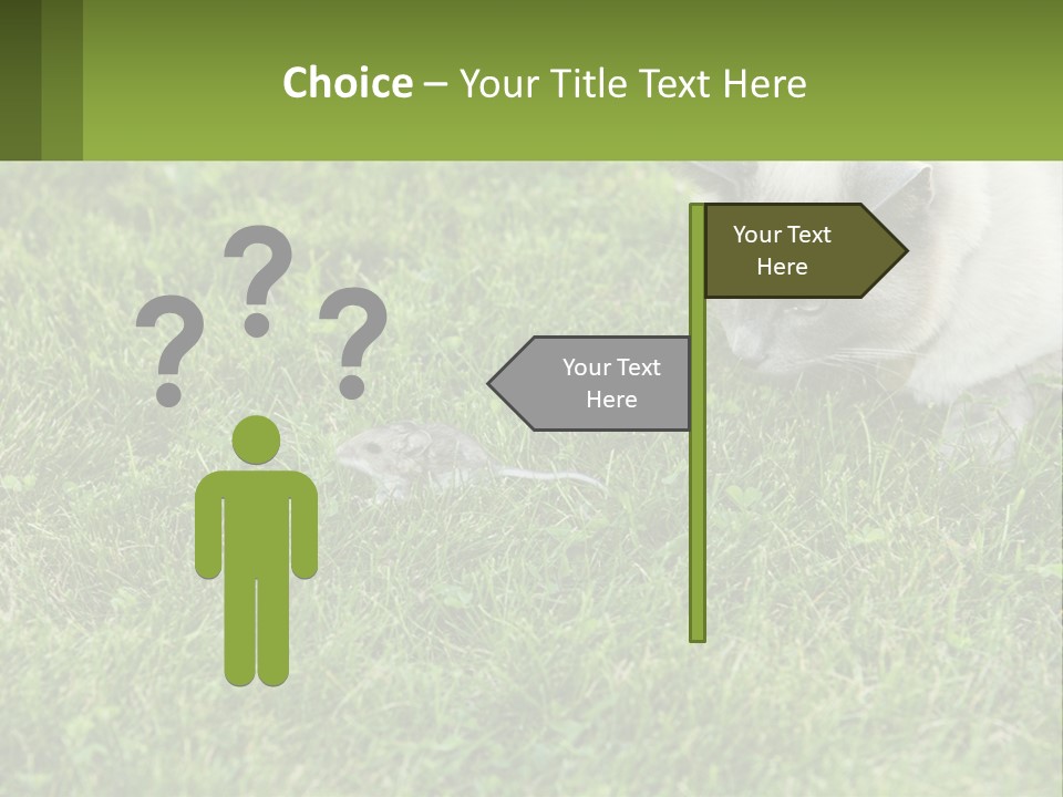 A Cat And A Mouse In The Grass PowerPoint Template