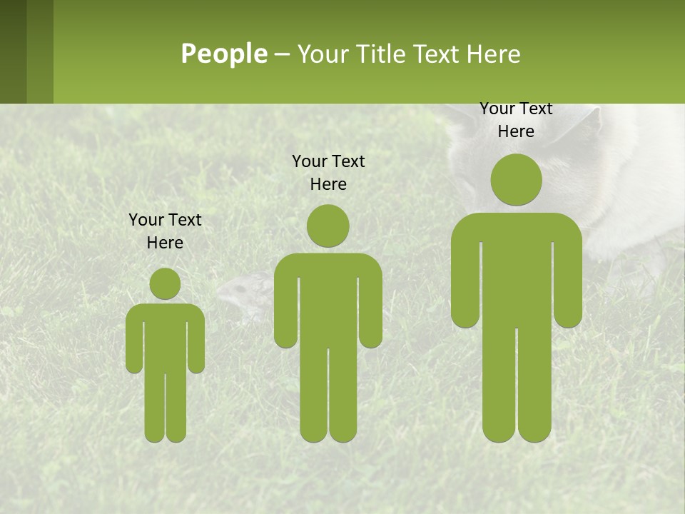 A Cat And A Mouse In The Grass PowerPoint Template