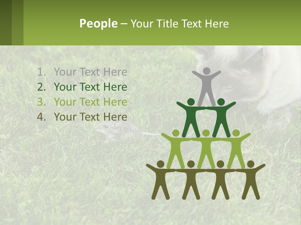 A Cat And A Mouse In The Grass PowerPoint Template