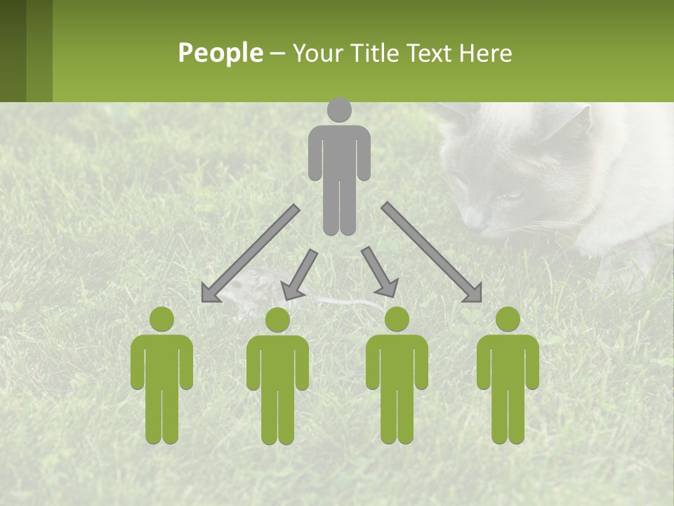 A Cat And A Mouse In The Grass PowerPoint Template