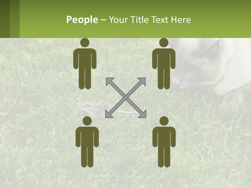 A Cat And A Mouse In The Grass PowerPoint Template