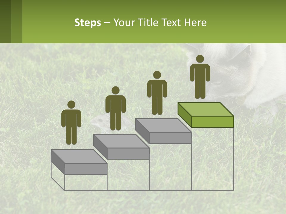 A Cat And A Mouse In The Grass PowerPoint Template