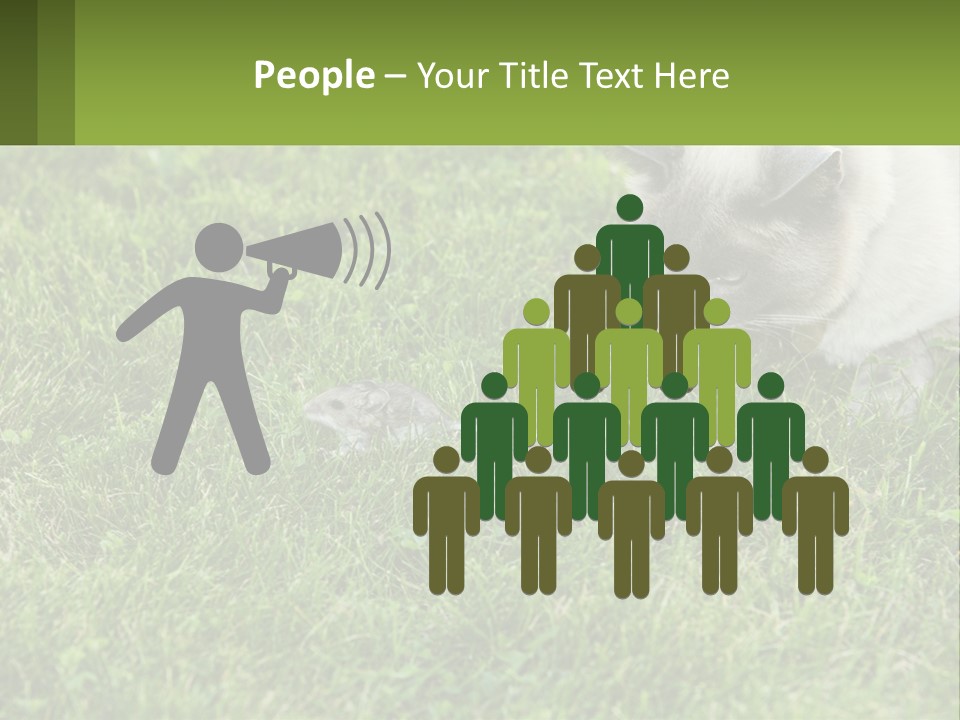 A Cat And A Mouse In The Grass PowerPoint Template