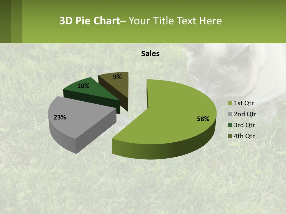 A Cat And A Mouse In The Grass PowerPoint Template