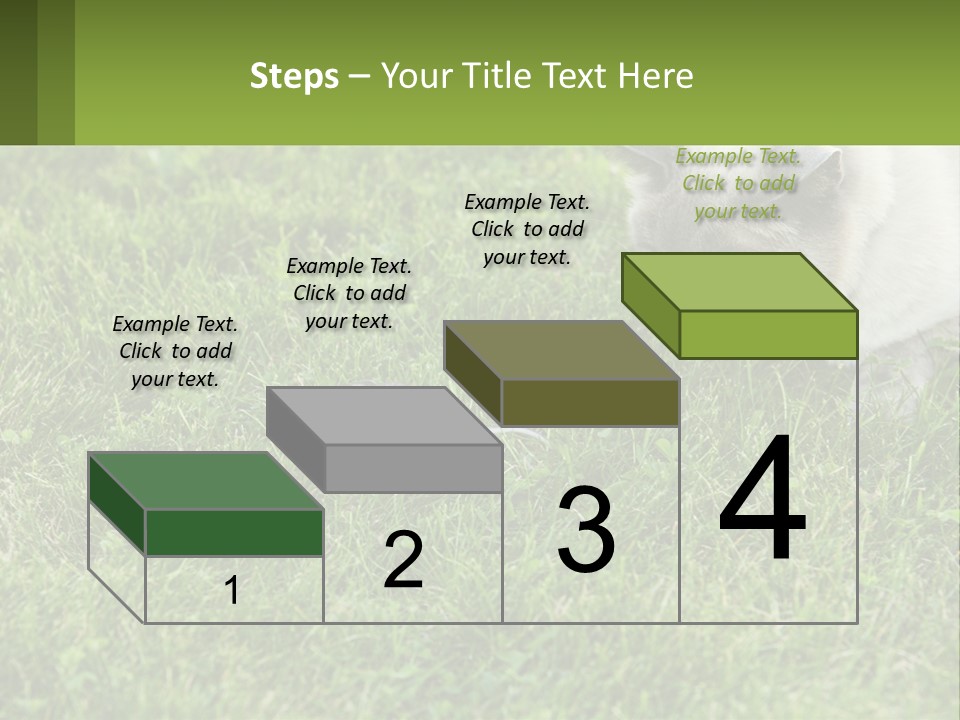 A Cat And A Mouse In The Grass PowerPoint Template