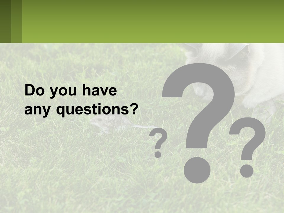 A Cat And A Mouse In The Grass PowerPoint Template