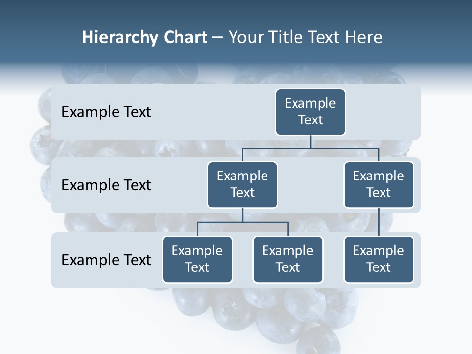 A Bunch Of Blueberries On A White Background PowerPoint Template
