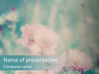 A Bunch Of Pink Flowers On A Green Background PowerPoint Template