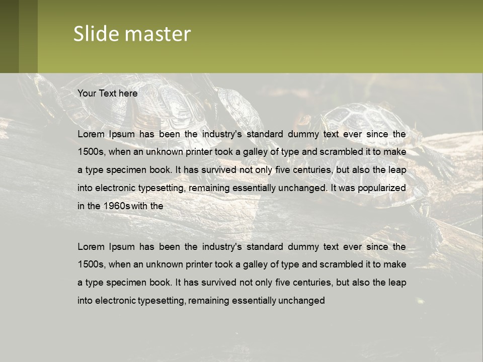 A Group Of Turtles Sitting On Top Of A Log PowerPoint Template