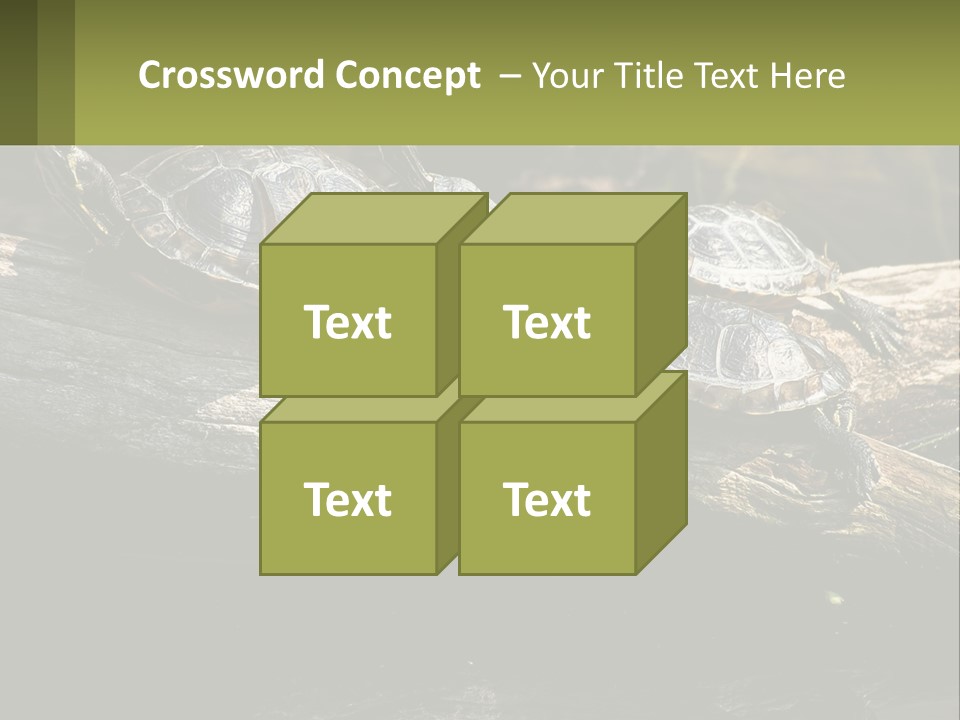 A Group Of Turtles Sitting On Top Of A Log PowerPoint Template