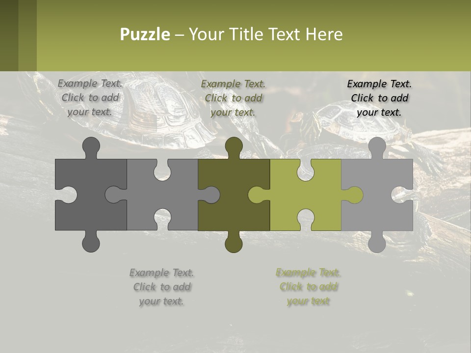 A Group Of Turtles Sitting On Top Of A Log PowerPoint Template