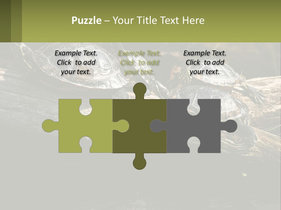 A Group Of Turtles Sitting On Top Of A Log PowerPoint Template