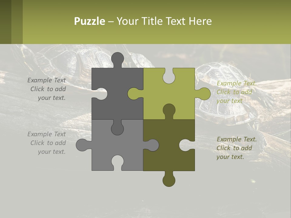 A Group Of Turtles Sitting On Top Of A Log PowerPoint Template