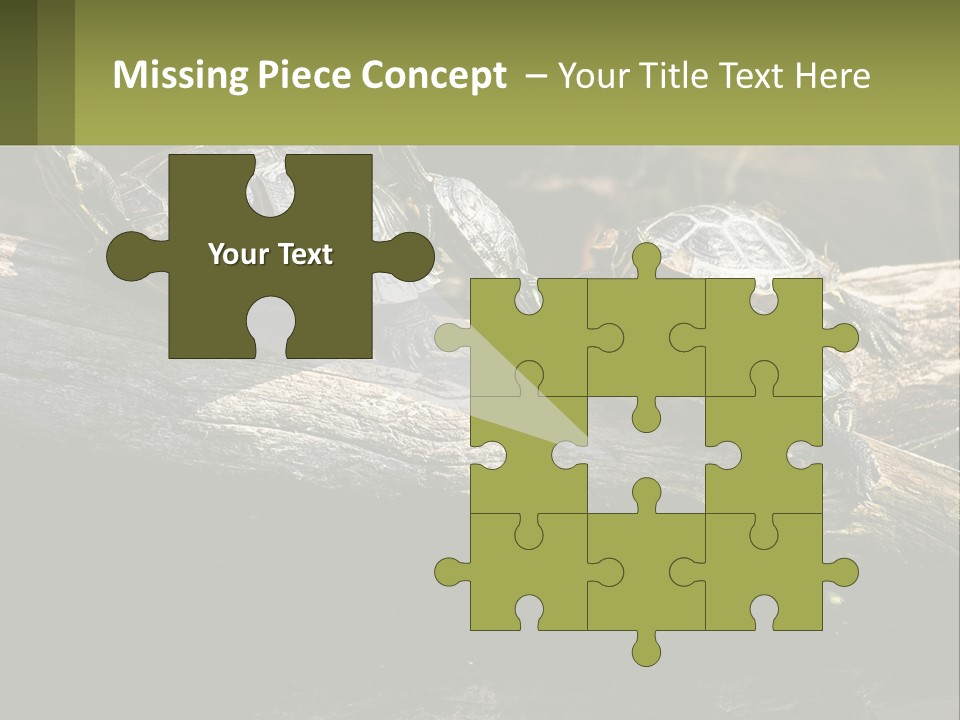 A Group Of Turtles Sitting On Top Of A Log PowerPoint Template