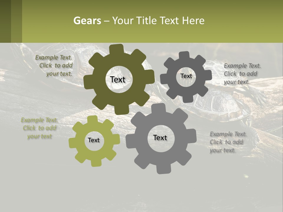 A Group Of Turtles Sitting On Top Of A Log PowerPoint Template