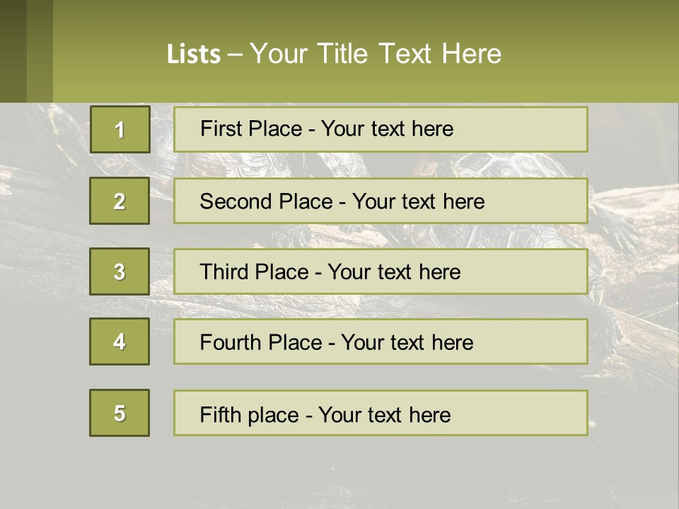 A Group Of Turtles Sitting On Top Of A Log PowerPoint Template