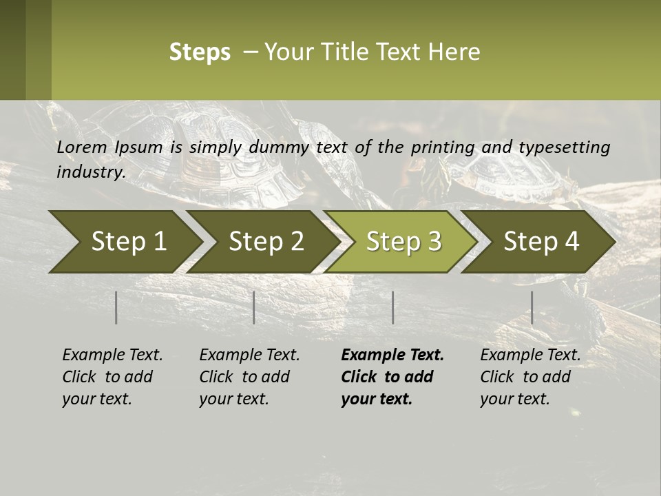 A Group Of Turtles Sitting On Top Of A Log PowerPoint Template
