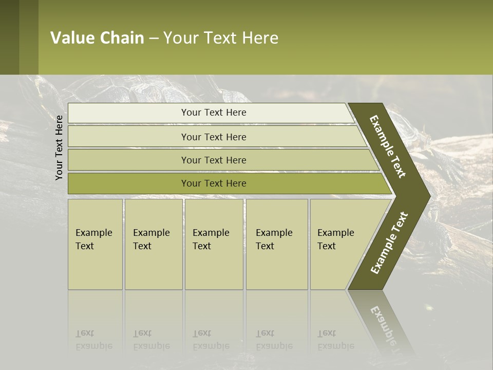 A Group Of Turtles Sitting On Top Of A Log PowerPoint Template