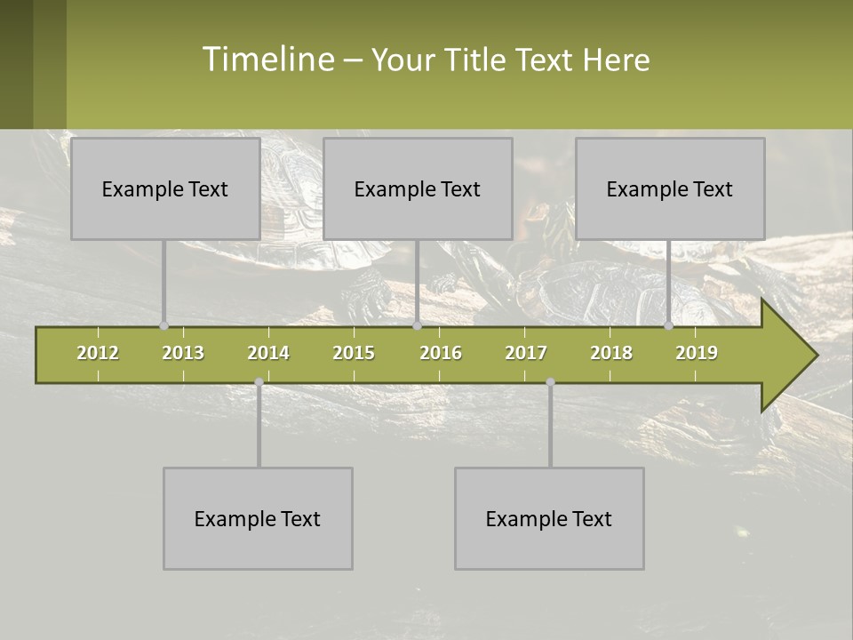 A Group Of Turtles Sitting On Top Of A Log PowerPoint Template