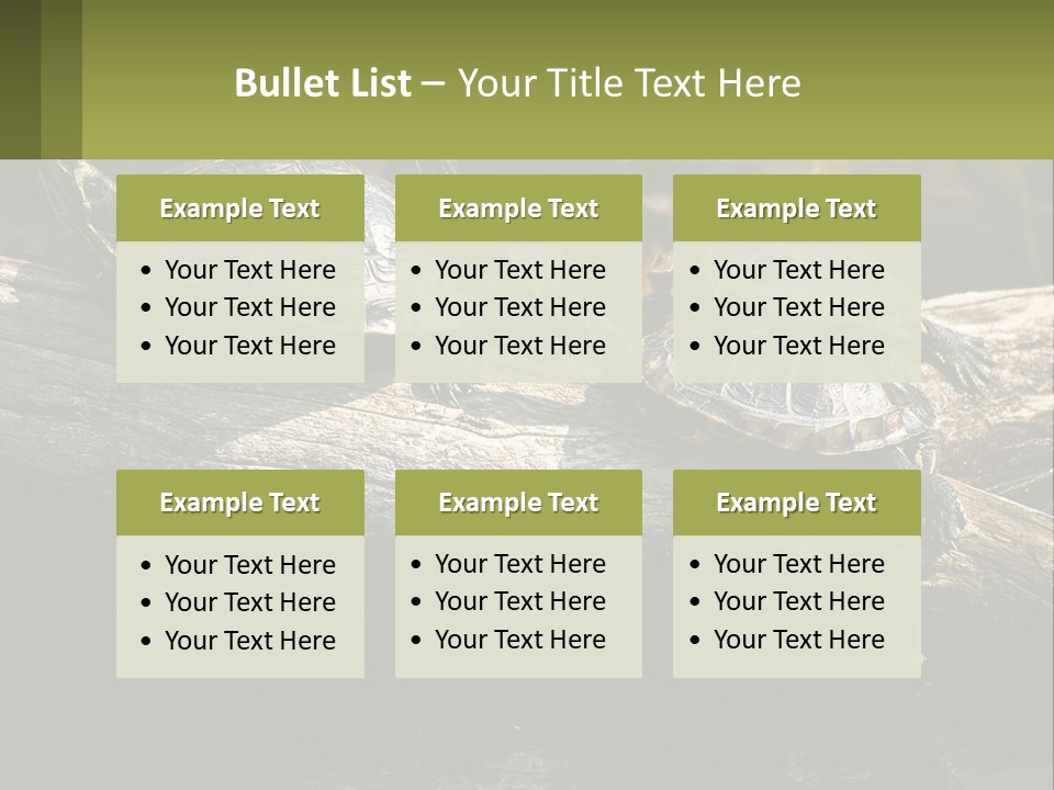 A Group Of Turtles Sitting On Top Of A Log PowerPoint Template