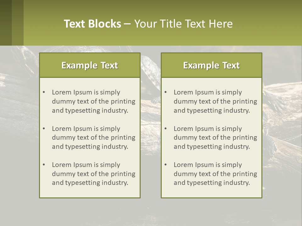 A Group Of Turtles Sitting On Top Of A Log PowerPoint Template