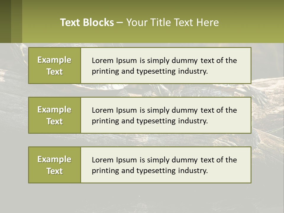 A Group Of Turtles Sitting On Top Of A Log PowerPoint Template