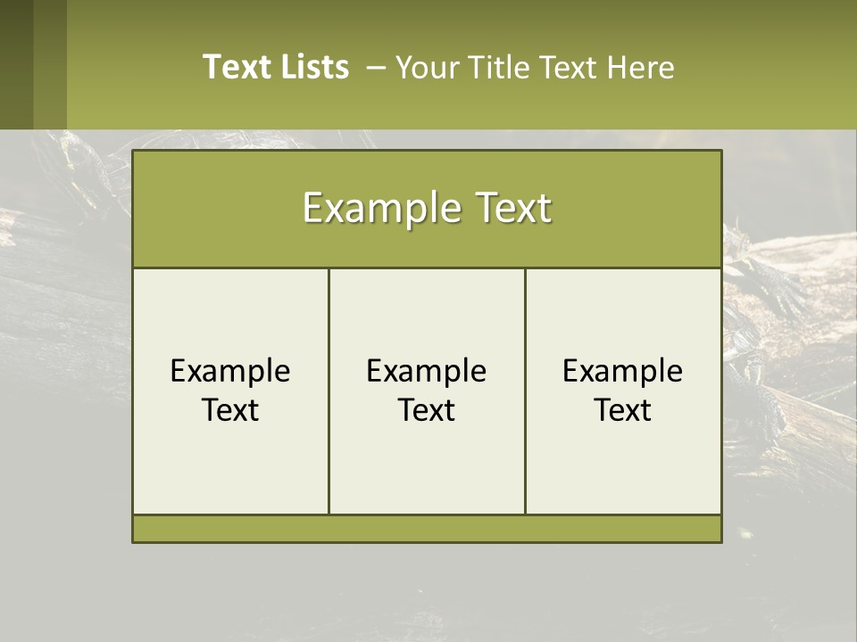 A Group Of Turtles Sitting On Top Of A Log PowerPoint Template