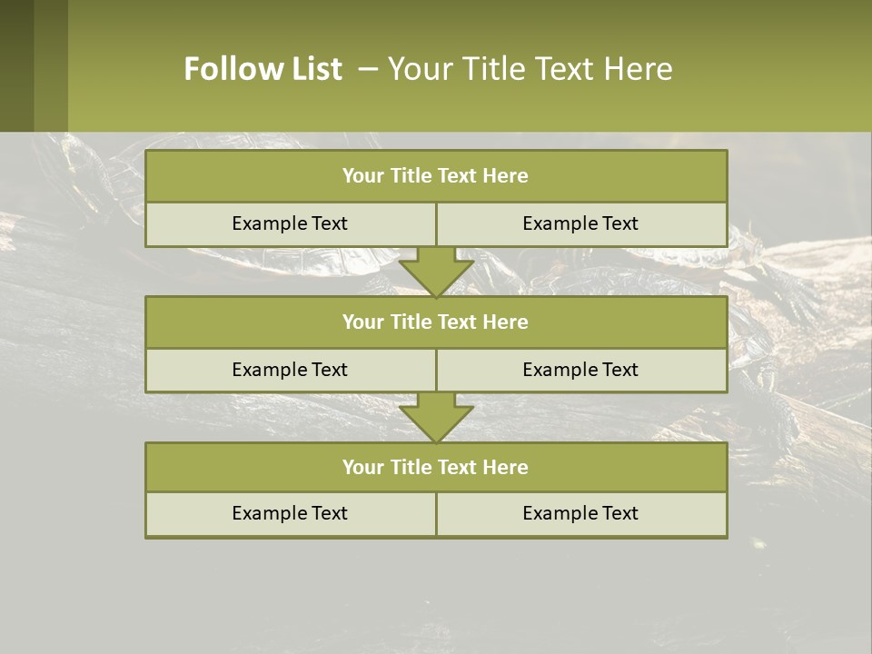 A Group Of Turtles Sitting On Top Of A Log PowerPoint Template