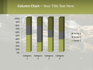 A Group Of Turtles Sitting On Top Of A Log PowerPoint Template