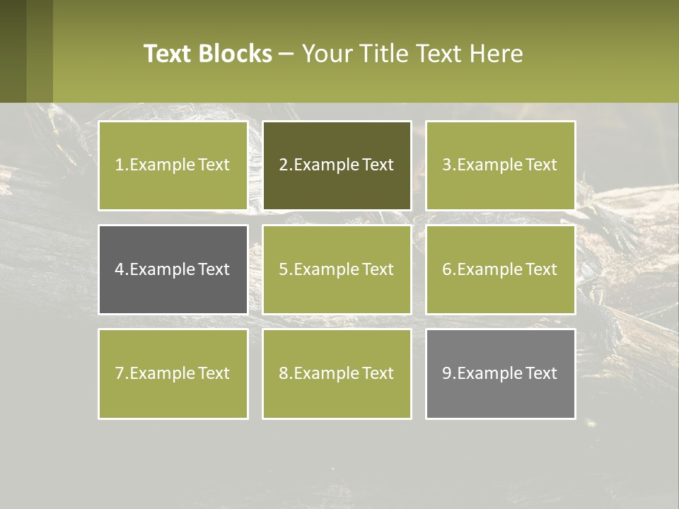 A Group Of Turtles Sitting On Top Of A Log PowerPoint Template
