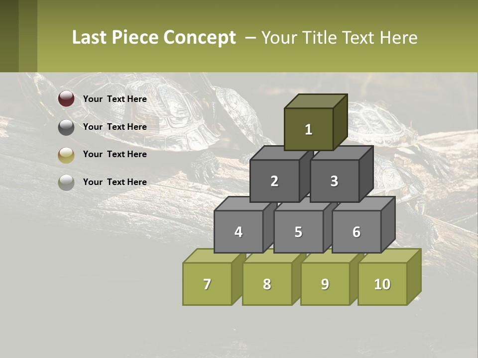 A Group Of Turtles Sitting On Top Of A Log PowerPoint Template