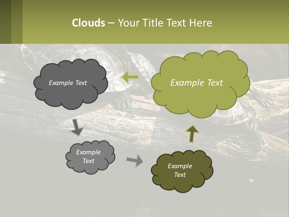 A Group Of Turtles Sitting On Top Of A Log PowerPoint Template