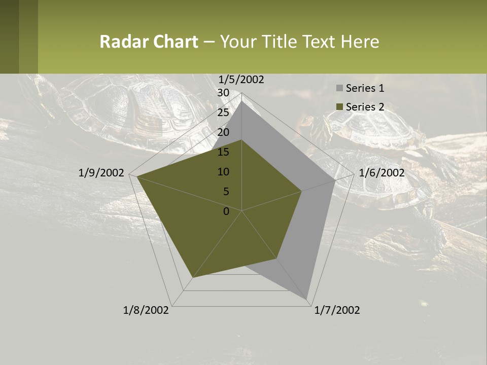 A Group Of Turtles Sitting On Top Of A Log PowerPoint Template