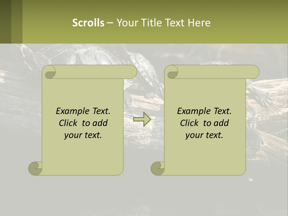 A Group Of Turtles Sitting On Top Of A Log PowerPoint Template