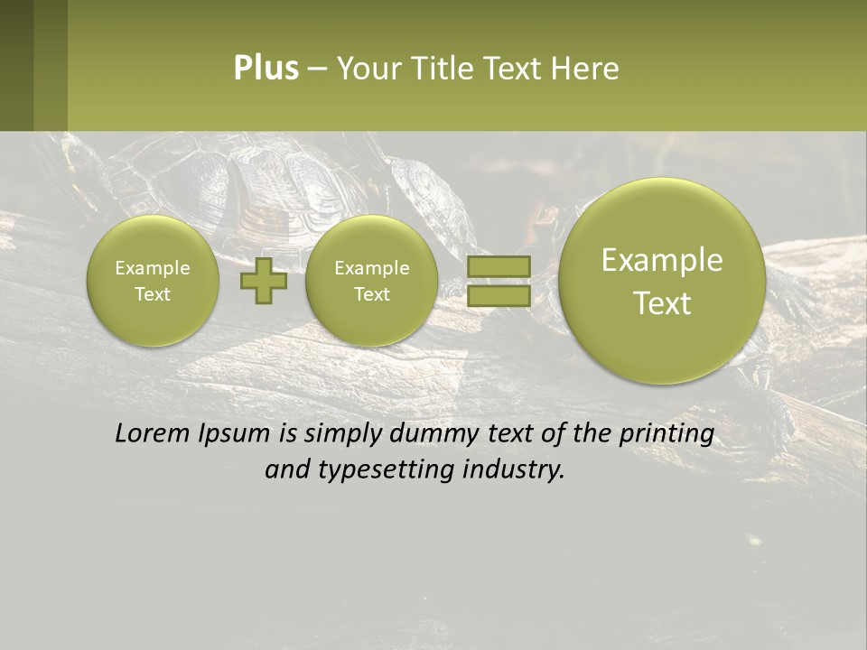A Group Of Turtles Sitting On Top Of A Log PowerPoint Template