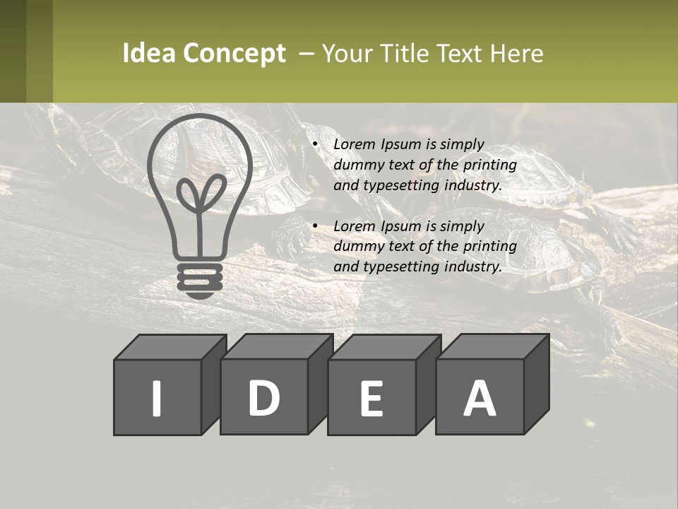 A Group Of Turtles Sitting On Top Of A Log PowerPoint Template