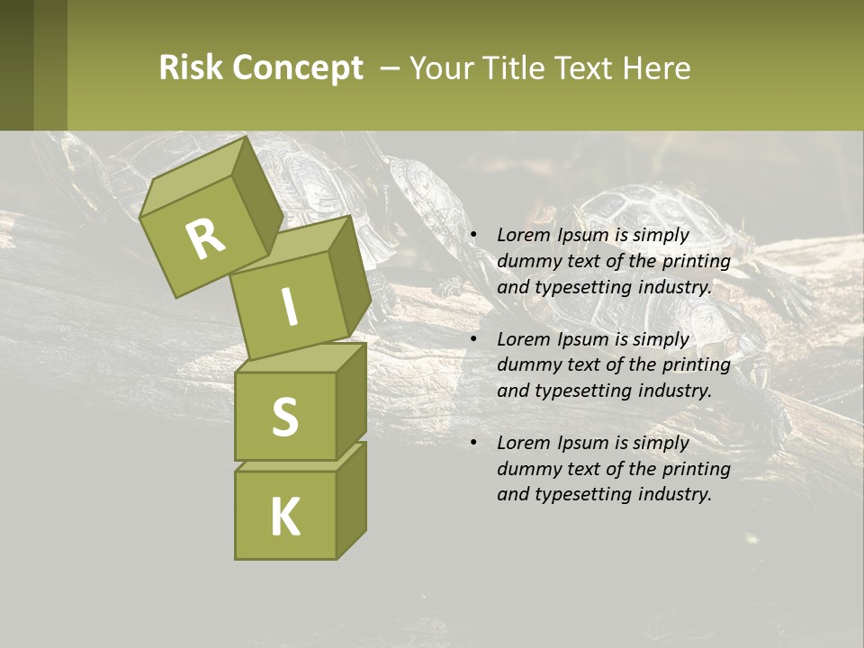 A Group Of Turtles Sitting On Top Of A Log PowerPoint Template