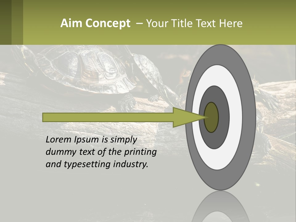 A Group Of Turtles Sitting On Top Of A Log PowerPoint Template