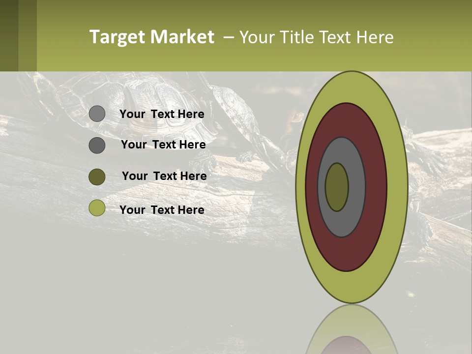 A Group Of Turtles Sitting On Top Of A Log PowerPoint Template